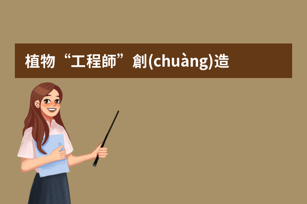 植物“工程師”創(chuàng)造出的幾何美講的是什么？